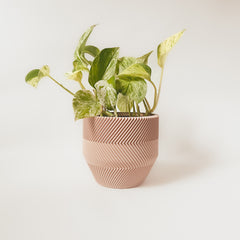 Cache-pot « Le Zébré »