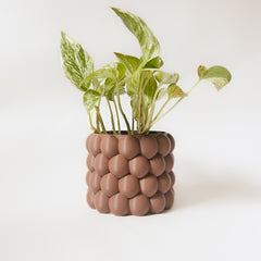 “The Burst” Planter