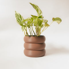 Cache-pot « Le Bubbly »