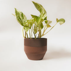 Cache-pot « Le Zébré »