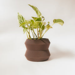 LE RAYONNANT Indoor Planter
