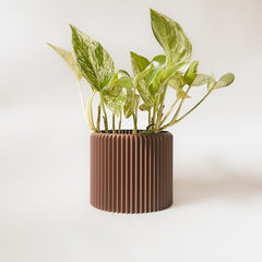 Cache-pot « Le Coquet »