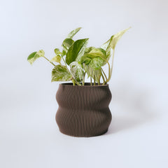 “The Nuanced” flowerpot