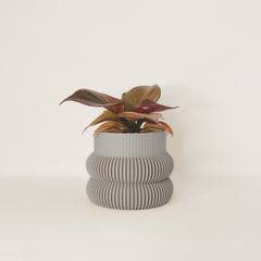 LE BEIGNET Indoor Planter