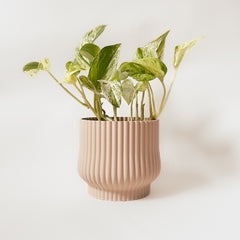 Cache-pot « L'Adorable »