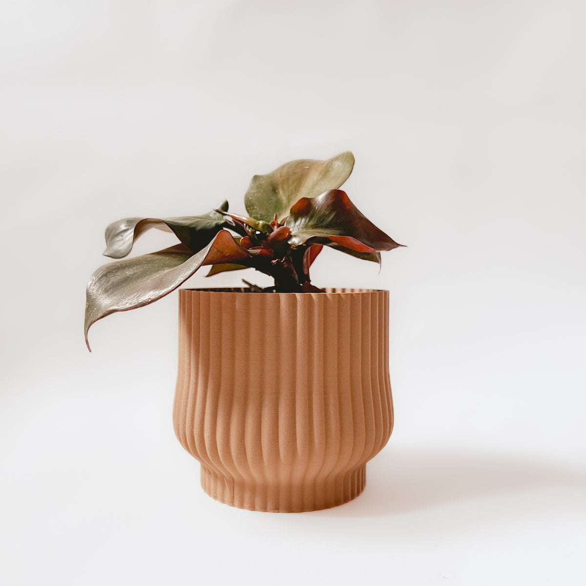 Cache-pot « L'Adorable »