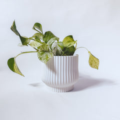 Cache-pot « L'Adorable »