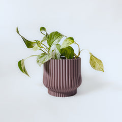 Cache-pot « L'Adorable »