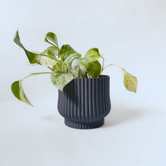 Cache-pot « L'Adorable »