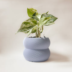 LE CHARMANT Indoor Planter
