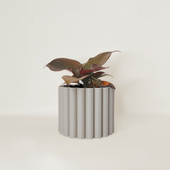 LE FLEURI Indoor Planter