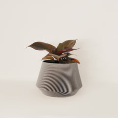 LE JOLI Indoor Planter