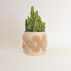 “Le Pétillant” plant pot