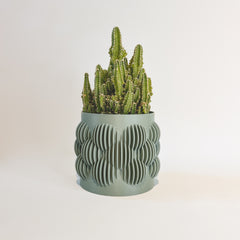 “Le Pétillant” plant pot