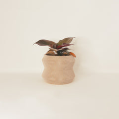 LE RAYONNANT Indoor Planter