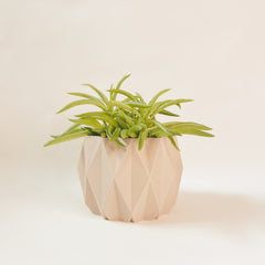 LE STYLÉ Indoor Planter