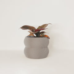 LE CHARMANT Indoor Planter