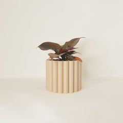 LE FLEURI Indoor Planter