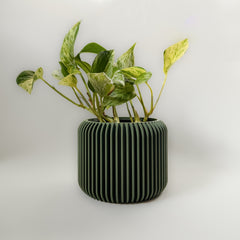 Cache-pot « Le Fringant »