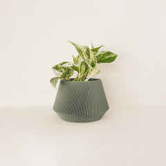 LE JOLI Indoor Planter