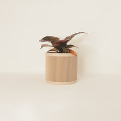 LE LIGNÉ Indoor Planter