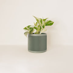 LE LIGNÉ Indoor Planter